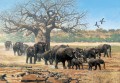 manada de elefantes con cigüeñas y baobab